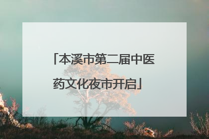 本溪市第二届中医药文化夜市开启