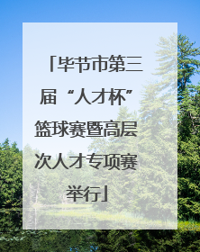 毕节市第三届“人才杯”篮球赛暨高层次人才专项赛举行