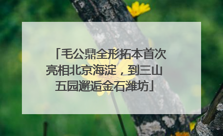 毛公鼎全形拓本首次亮相北京海淀，到三山五园邂逅金石潍坊
