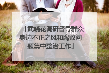 武晓花调研督导群众身边不正之风和腐败问题集中整治工作
