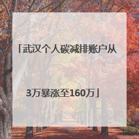 武汉个人碳减排账户从3万暴涨至160万