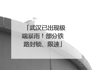 武汉已出现极端暴雨！部分铁路封锁、限速