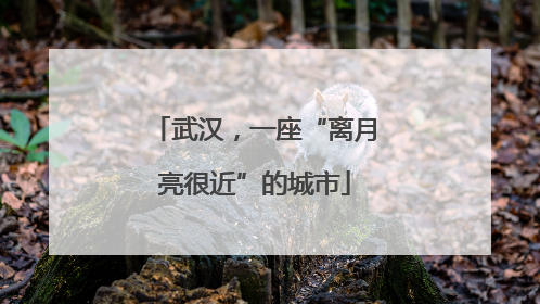 武汉，一座“离月亮很近”的城市