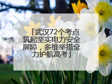 武汉72个考点筑起坚实电力安全屏障，多维举措全力护航高考