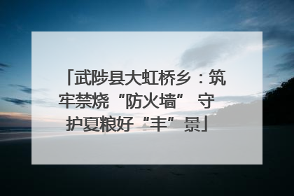 武陟县大虹桥乡：筑牢禁烧“防火墙” 守护夏粮好“丰”景