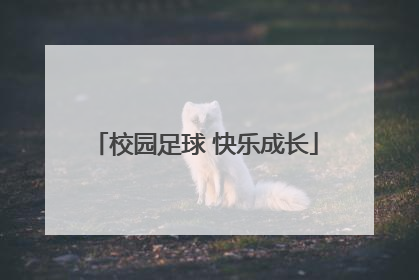 校园足球 快乐成长