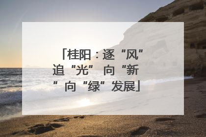 桂阳：逐“风”追“光” 向“新”向“绿”发展