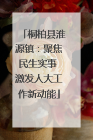 桐柏县淮源镇：聚焦民生实事 激发人大工作新动能