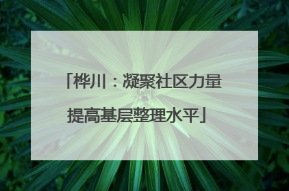 桦川：凝聚社区力量 提高基层整理水平