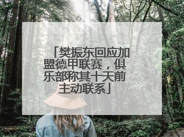 樊振东回应加盟德甲联赛，俱乐部称其十天前主动联系