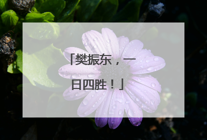 樊振东，一日四胜！