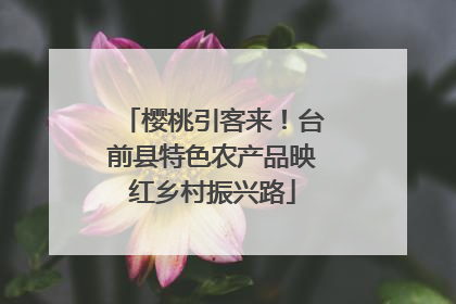 樱桃引客来！台前县特色农产品映红乡村振兴路