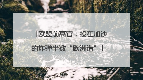 欧盟前高官：投在加沙的炸弹半数“欧洲造”