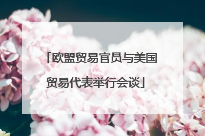 欧盟贸易官员与美国贸易代表举行会谈