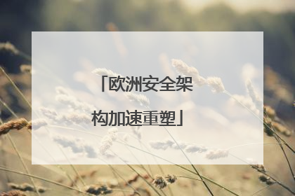 欧洲安全架构加速重塑
