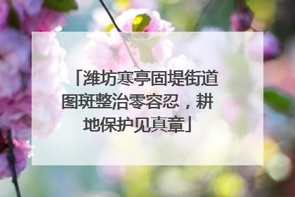 潍坊寒亭固堤街道图斑整治零容忍，耕地保护见真章