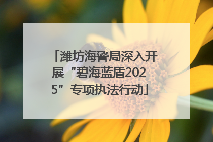 潍坊海警局深入开展“碧海蓝盾2025”专项执法行动