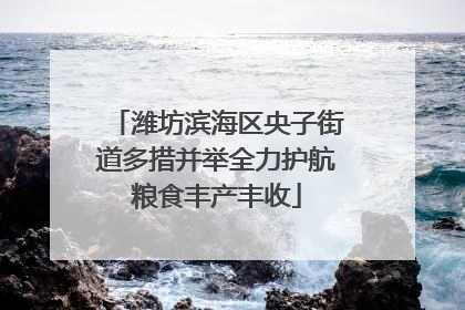 潍坊滨海区央子街道多措并举全力护航粮食丰产丰收