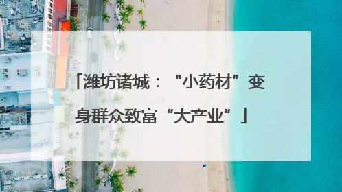 潍坊诸城：“小药材”变身群众致富“大产业”