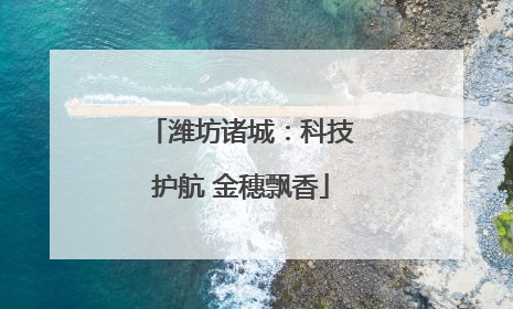 潍坊诸城：科技护航 金穗飘香