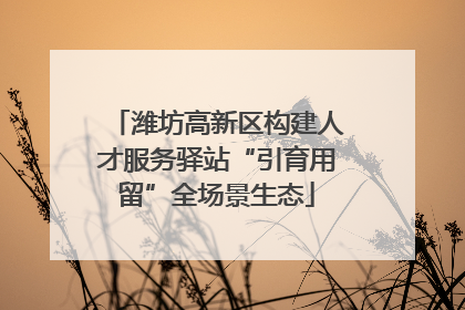 潍坊高新区构建人才服务驿站“引育用留”全场景生态