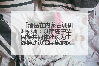 潘岳在内蒙古调研时强调：以推进中华民族共同体建设为主线推动边疆民族地区高质量发展