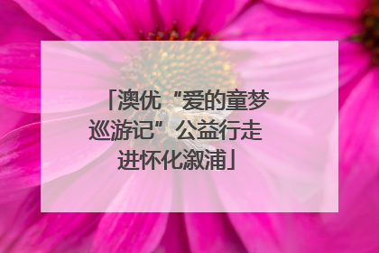 澳优“爱的童梦巡游记”公益行走进怀化溆浦