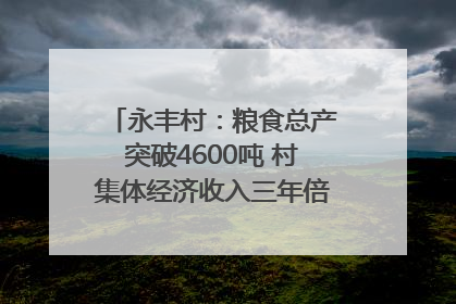 永丰村：粮食总产突破4600吨 村集体经济收入三年倍增｜牵挂的村