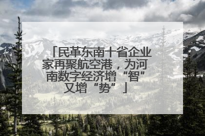 民革东南十省企业家再聚航空港，为河南数字经济增“智”又增“势”