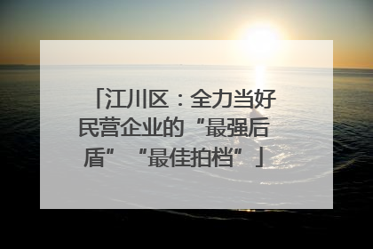 江川区：全力当好民营企业的“最强后盾”“最佳拍档”