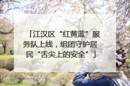 江汉区“红黄蓝”服务队上线，组团守护居民“舌尖上的安全”