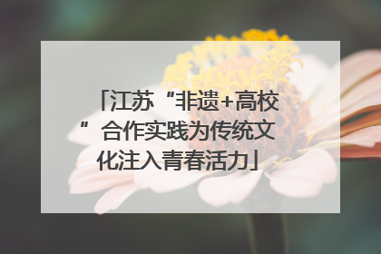 江苏“非遗+高校”合作实践为传统文化注入青春活力