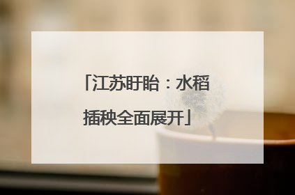 江苏盱眙：水稻插秧全面展开