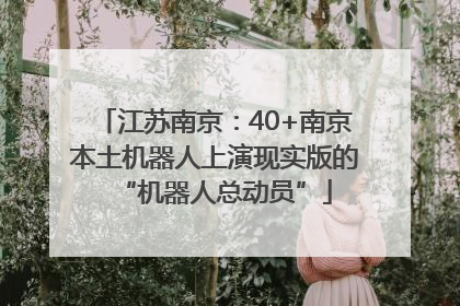 江苏南京：40+南京本土机器人上演现实版的“机器人总动员”