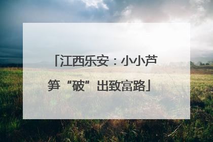 江西乐安：小小芦笋“破”出致富路