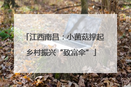 江西南昌：小菌菇撑起乡村振兴“致富伞”