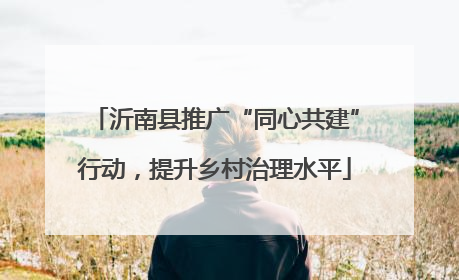 沂南县推广“同心共建”行动，提升乡村治理水平