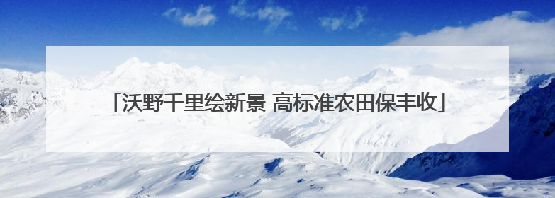 沃野千里绘新景 高标准农田保丰收