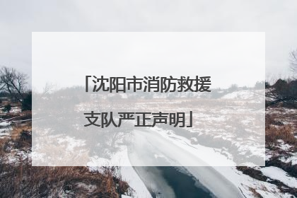 沈阳市消防救援支队严正声明