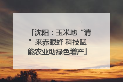 沈阳：玉米地“请”来赤眼蜂 科技赋能农业助绿色增产