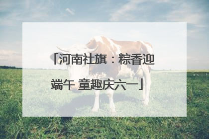河南社旗：粽香迎端午 童趣庆六一