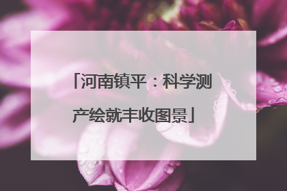 河南镇平：科学测产绘就丰收图景