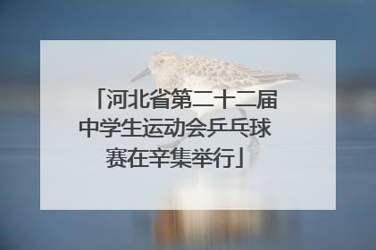 河北省第二十二届中学生运动会乒乓球赛在辛集举行
