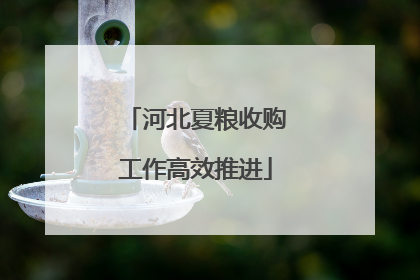 河北夏粮收购工作高效推进