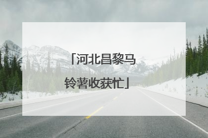河北昌黎马铃薯收获忙