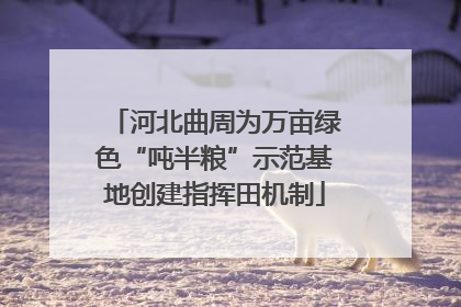 河北曲周为万亩绿色“吨半粮”示范基地创建指挥田机制