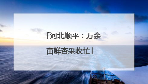 河北顺平：万余亩鲜杏采收忙