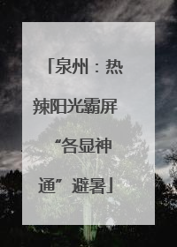 泉州：热辣阳光霸屏 “各显神通”避暑