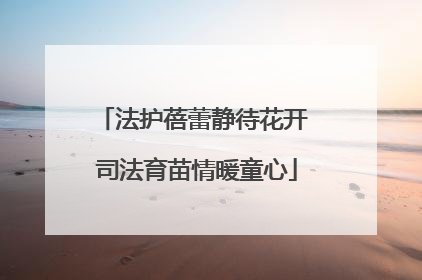 法护蓓蕾静待花开 司法育苗情暖童心