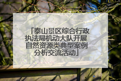 泰山景区综合行政执法局机动大队开展自然资源类典型案例分析交流活动
